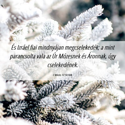 Picture 06 - 2 Mózes 12:50 KAR - És Izráel fiai mindnyájan megcselekedék; a - Bible Verse Picture