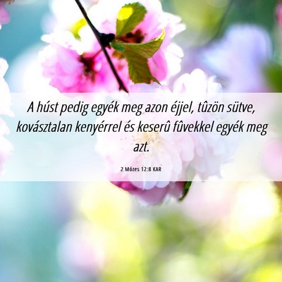 Picture 06 - 2 Mózes 12:8 KAR - A húst pedig egyék meg azon éjjel, tûzön - Bible Verse Picture