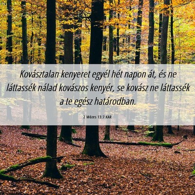Picture 06 - 2 Mózes 13:7 KAR - Kovásztalan kenyeret egyél hét napon át, és - Bible Verse Picture
