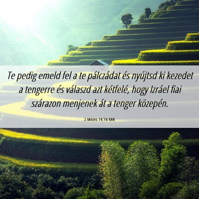 Picture 06 - 2 Mózes 14:16 KAR - Te pedig emeld fel a te pálczádat és nyújtsd - Bible Verse Picture