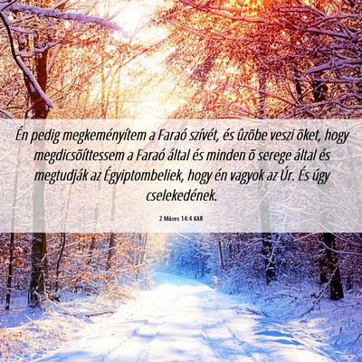 Picture 06 - 2 Mózes 14:4 KAR - Én pedig megkeményítem a Faraó szívét, és - Bible Verse Picture