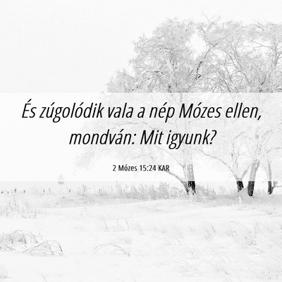 Picture 06 - 2 Mózes 15:24 KAR - És zúgolódik vala a nép Mózes ellen, - Bible Verse Picture