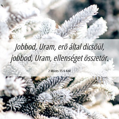 Picture 06 - 2 Mózes 15:6 KAR - Jobbod, Uram, erõ által dicsõül, jobbod, - Bible Verse Picture