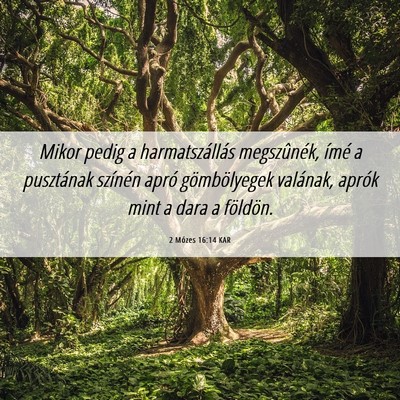 Picture 06 - 2 Mózes 16:14 KAR - Mikor pedig a harmatszállás megszûnék, ímé - Bible Verse Picture