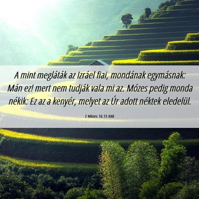 Picture 06 - 2 Mózes 16:15 KAR - A mint megláták az Izráel fiai, mondának - Bible Verse Picture