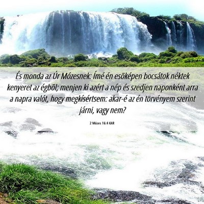 Picture 06 - 2 Mózes 16:4 KAR - És monda az Úr Mózesnek: Ímé én esõképen - Bible Verse Picture