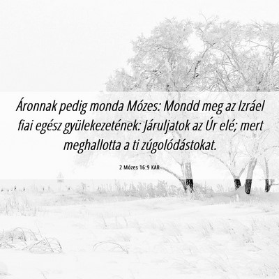 Picture 06 - 2 Mózes 16:9 KAR - Áronnak pedig monda Mózes: Mondd meg az Izráel - Bible Verse Picture