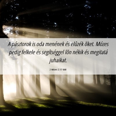 Picture 06 - 2 Mózes 2:17 KAR - A pásztorok is oda menének és elûzék õket. - Bible Verse Picture