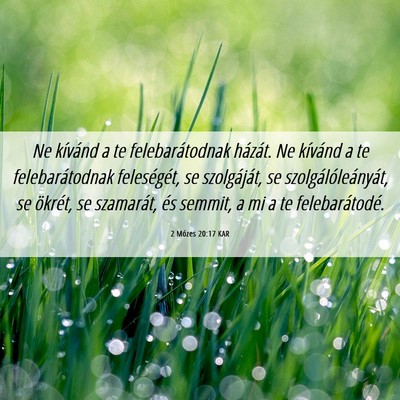 Picture 06 - 2 Mózes 20:17 KAR - Ne kívánd a te felebarátodnak házát. Ne - Bible Verse Picture