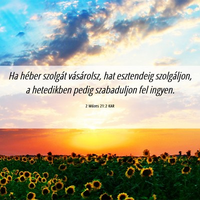 Picture 06 - 2 Mózes 21:2 KAR - Ha héber szolgát vásárolsz, hat esztendeig - Bible Verse Picture