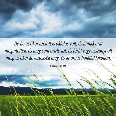 Picture 06 - 2 Mózes 21:29 KAR - De ha az ökör azelõtt is öklelõs volt, és - Bible Verse Picture