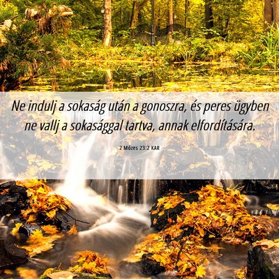 Picture 06 - 2 Mózes 23:2 KAR - Ne indulj a sokaság után a gonoszra, és peres - Bible Verse Picture