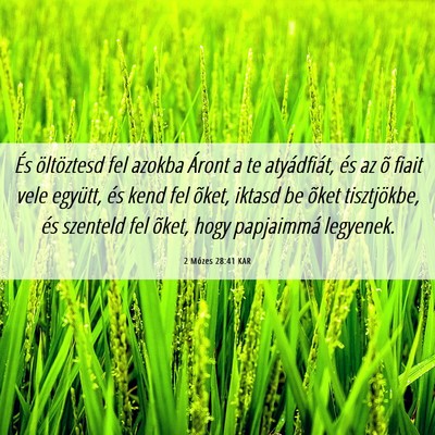 Picture 06 - 2 Mózes 28:41 KAR - És öltöztesd fel azokba Áront a te - Bible Verse Picture