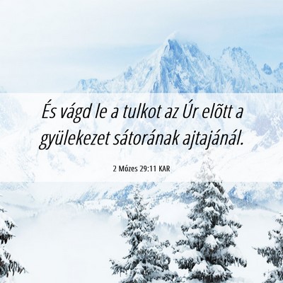 Picture 06 - 2 Mózes 29:11 KAR - És vágd le a tulkot az Úr elõtt a gyülekezet - Bible Verse Picture