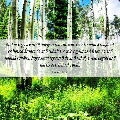 Picture 06 - 2 Mózes 29:21 KAR - Azután végy a vérbõl, mely az oltáron van, - Bible Verse Picture