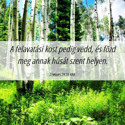 Picture 06 - 2 Mózes 29:31 KAR - A felavatási kost pedig vedd, és fõzd meg - Bible Verse Picture