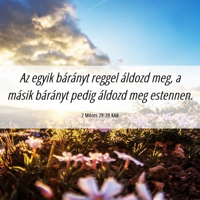 Picture 06 - 2 Mózes 29:39 KAR - Az egyik bárányt reggel áldozd meg, a másik - Bible Verse Picture