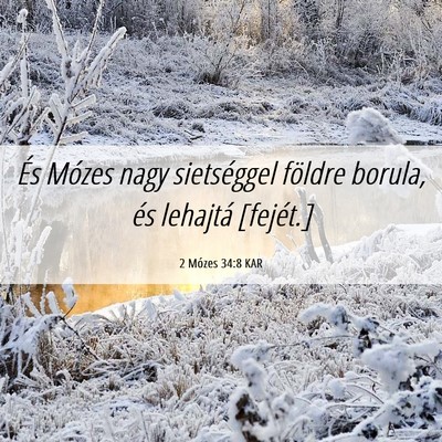 Picture 06 - 2 Mózes 34:8 KAR - És Mózes nagy sietséggel földre borula, és - Bible Verse Picture