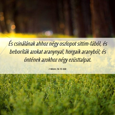 Picture 06 - 2 Mózes 36:35 KAR - És csinálának ahhoz négy oszlopot - Bible Verse Picture