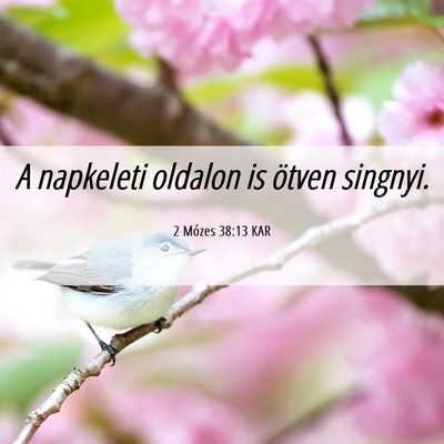 Picture 06 - 2 Mózes 38:13 KAR - A napkeleti oldalon is ötven - Bible Verse Picture