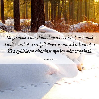 Picture 06 - 2 Mózes 38:8 KAR - Megcsinálá a mosdómedenczét is rézbõl, és - Bible Verse Picture