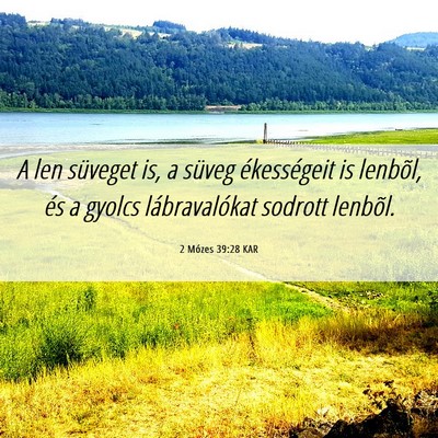 Picture 06 - 2 Mózes 39:28 KAR - A len süveget is, a süveg ékességeit is - Bible Verse Picture