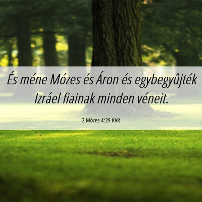 Picture 06 - 2 Mózes 4:29 KAR - És méne Mózes és Áron és egybegyûjték - Bible Verse Picture