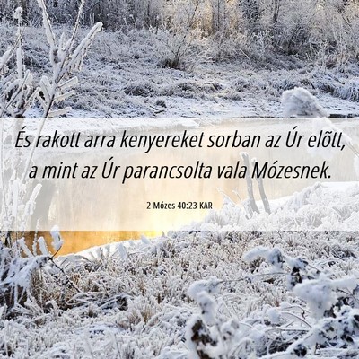 Picture 06 - 2 Mózes 40:23 KAR - És rakott arra kenyereket sorban az Úr elõtt, - Bible Verse Picture