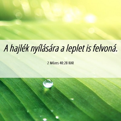 Picture 06 - 2 Mózes 40:28 KAR - A hajlék nyílására a leplet is - Bible Verse Picture