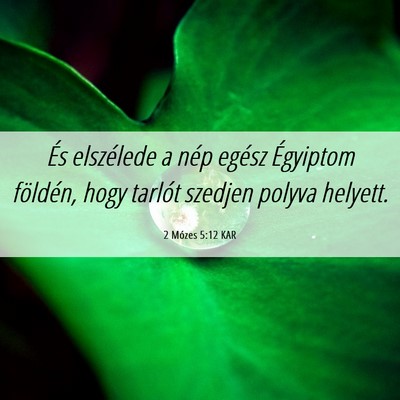 Picture 06 - 2 Mózes 5:12 KAR - És elszélede a nép egész Égyiptom földén, - Bible Verse Picture