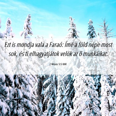 Picture 06 - 2 Mózes 5:5 KAR - Ezt is mondja vala a Faraó: Ímé a föld népe - Bible Verse Picture