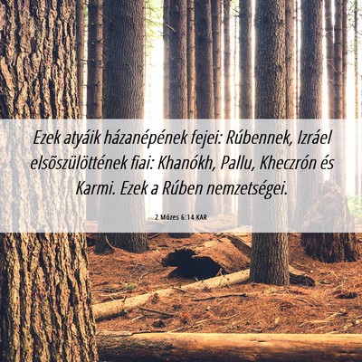 Picture 06 - 2 Mózes 6:14 KAR - Ezek atyáik házanépének fejei: Rúbennek, - Bible Verse Picture