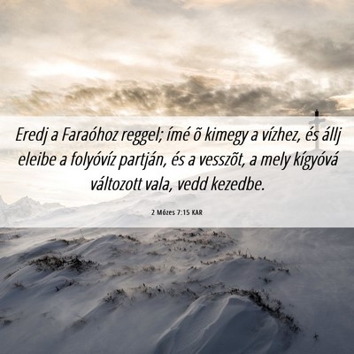 Picture 06 - 2 Mózes 7:15 KAR - Eredj a Faraóhoz reggel; ímé õ kimegy a - Bible Verse Picture