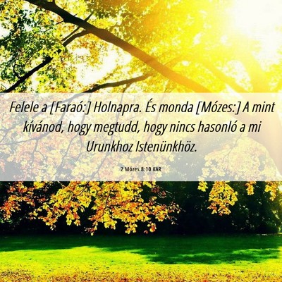Picture 06 - 2 Mózes 8:10 KAR - Felele a [Faraó:] Holnapra. És monda [Mózes:] - Bible Verse Picture