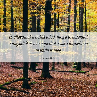 Picture 06 - 2 Mózes 8:11 KAR - És eltávoznak a békák tõled, meg a te - Bible Verse Picture