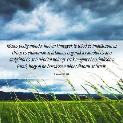 Picture 06 - 2 Mózes 8:29 KAR - Mózes pedig monda: Ímé én kimegyek te tõled - Bible Verse Picture