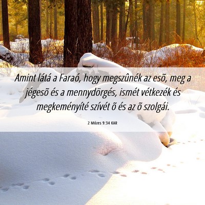 Picture 06 - 2 Mózes 9:34 KAR - Amint látá a Faraó, hogy megszûnék az esõ, - Bible Verse Picture