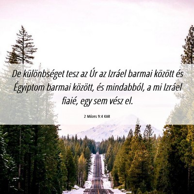 Picture 06 - 2 Mózes 9:4 KAR - De különbséget tesz az Úr az Izráel barmai - Bible Verse Picture