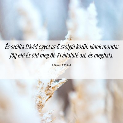 Picture 06 - 2 Sámuel 1:15 KAR - És szólíta Dávid egyet az õ szolgái - Bible Verse Picture