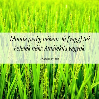 Picture 06 - 2 Sámuel 1:8 KAR - Monda pedig nékem: Ki [vagy] te? Felelék néki: - Bible Verse Picture