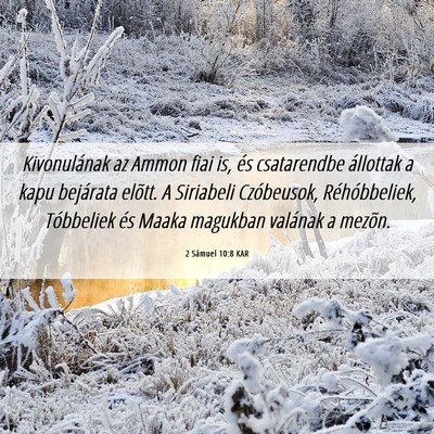 Picture 06 - 2 Sámuel 10:8 KAR - Kivonulának az Ammon fiai is, és csatarendbe - Bible Verse Picture