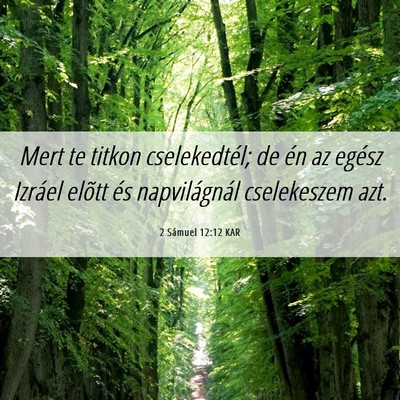 Picture 06 - 2 Sámuel 12:12 KAR - Mert te titkon cselekedtél; de én az egész - Bible Verse Picture