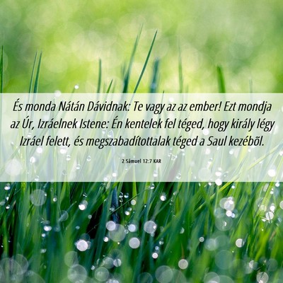 Picture 06 - 2 Sámuel 12:7 KAR - És monda Nátán Dávidnak: Te vagy az az ember! - Bible Verse Picture