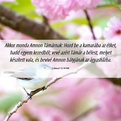 Picture 06 - 2 Sámuel 13:10 KAR - Akkor monda Amnon Támárnak: Hozd be a kamarába - Bible Verse Picture