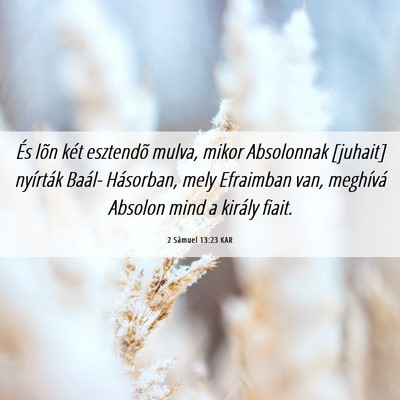 Picture 06 - 2 Sámuel 13:23 KAR - És lõn két esztendõ mulva, mikor Absolonnak - Bible Verse Picture