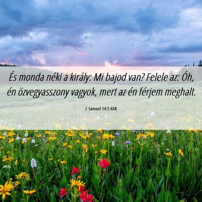 Picture 06 - 2 Sámuel 14:5 KAR - És monda néki a király: Mi bajod van? Felele - Bible Verse Picture