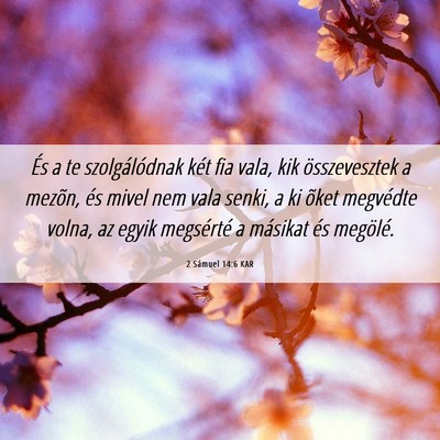 Picture 06 - 2 Sámuel 14:6 KAR - És a te szolgálódnak két fia vala, kik - Bible Verse Picture