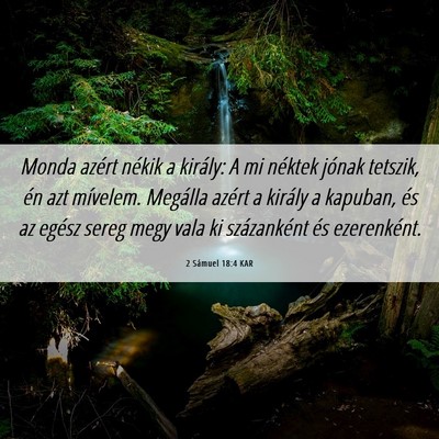 Picture 06 - 2 Sámuel 18:4 KAR - Monda azért nékik a király: A mi néktek - Bible Verse Picture