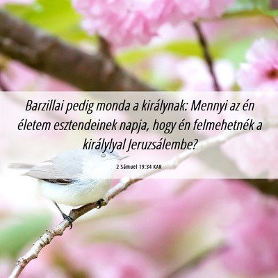 Picture 06 - 2 Sámuel 19:34 KAR - Barzillai pedig monda a királynak: Mennyi az én - Bible Verse Picture