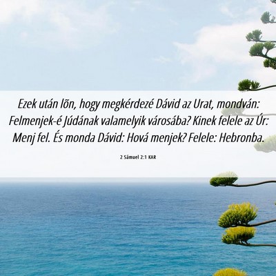 Picture 06 - 2 Sámuel 2:1 KAR - Ezek után lõn, hogy megkérdezé Dávid az - Bible Verse Picture